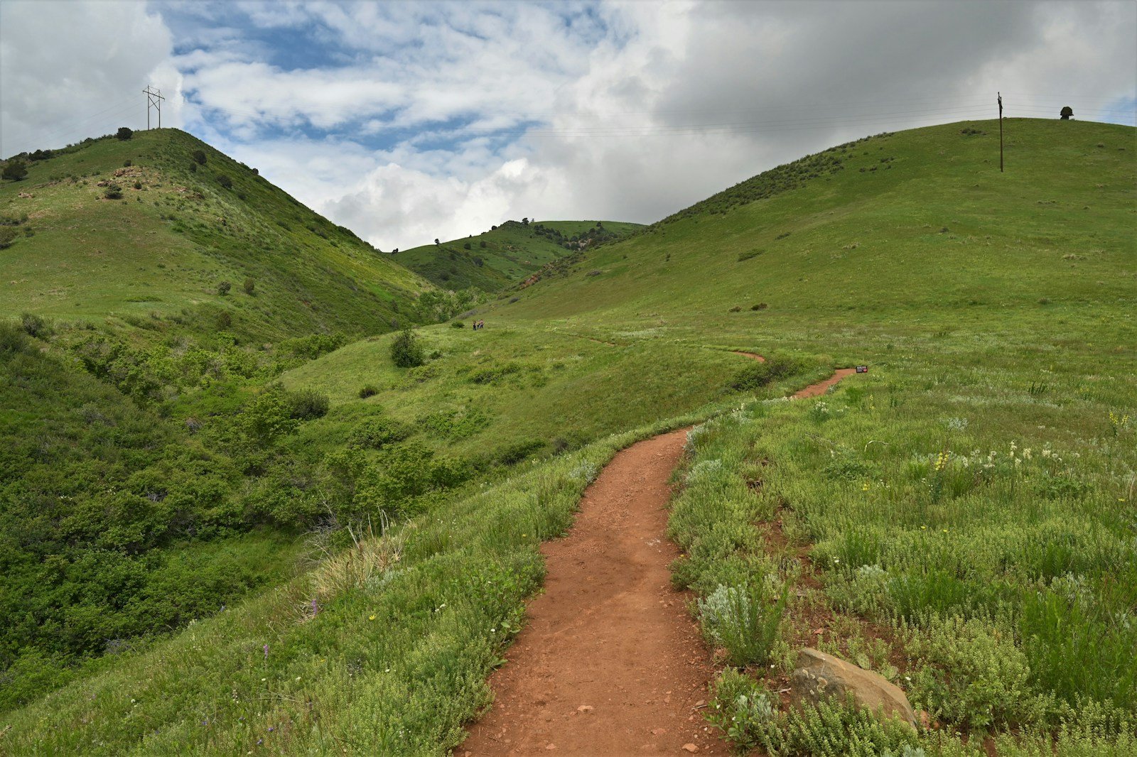 Winding trail through the foothills at Matthews/Winters Park